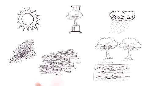 什么是可持续发展