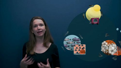 生态经济学畅谈