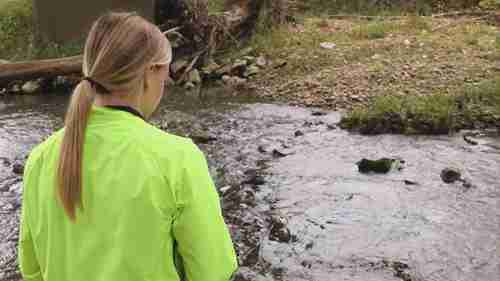 如何收集溪水样本