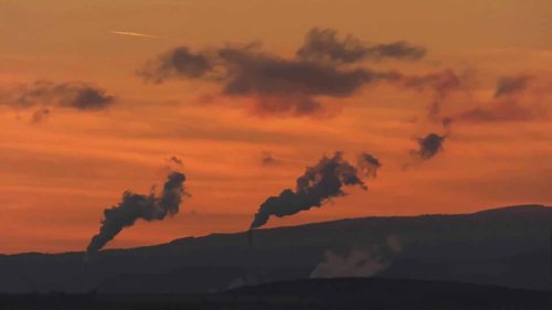 研究低碳排放的在线APP