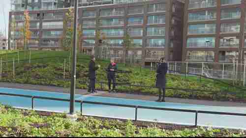 生物炭和城市绿化问题