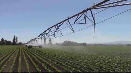 通过有效灌溉来保护地下水