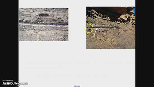 岩石和化石对比