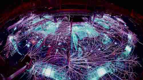 应急与灾难管理专业