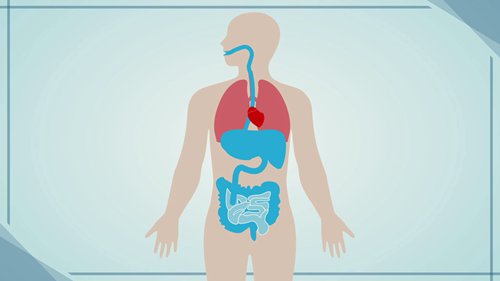 热应激事故及急救