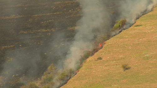 农场和牧场防火