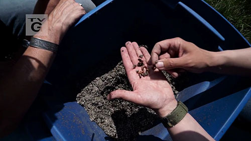 堆肥，废物变肥料