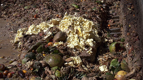 农场垃圾如何发电