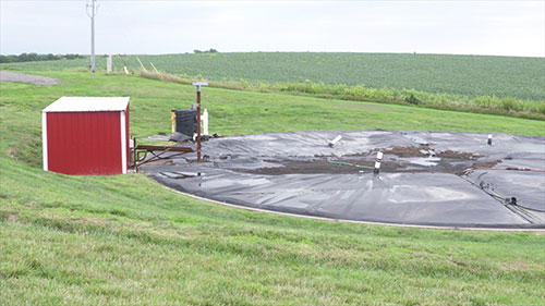 用猪粪发电和施肥