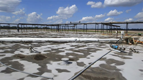 奶牛场的牛粪发电设备