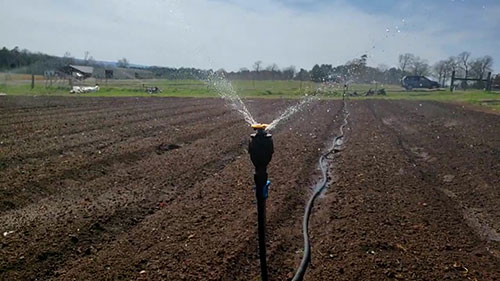 滴灌和架空灌溉