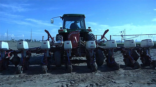 用滴灌技术种植玉米