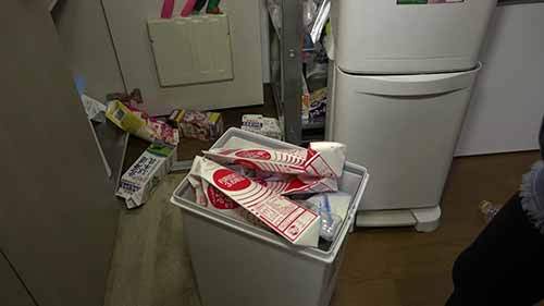 日本垃圾管理专家