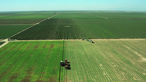 可持续的地下水灌溉