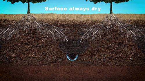 果园中的地下灌溉系统