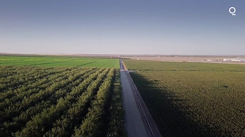 加州农业和干旱问题