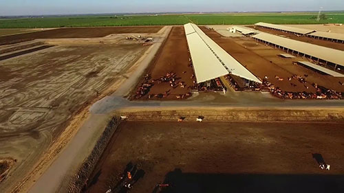 奶牛场和环境污染