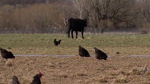 如何使干旱的土地复苏