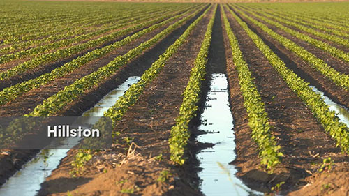 用太阳能抽水进行灌溉