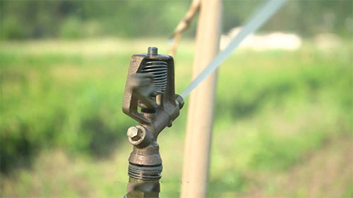 美国King County地区保护土地资源