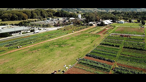 Byron Bay农场的生态农业