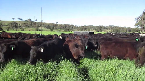 用可持续农业治愈农场