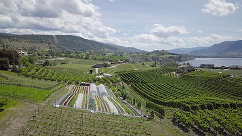 永续农业种植多种作物