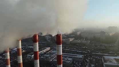 利用鸽子观测伦敦空气污染状况