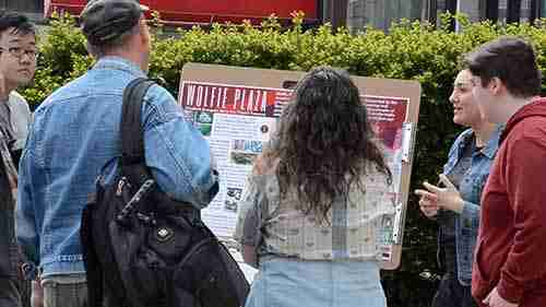 环境设计、和规划项目