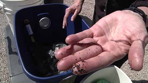 蚯蚓与垃圾回收