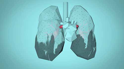 空气污染对人体的影响