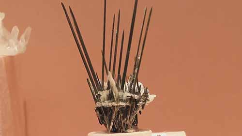 参观矿物学博物馆