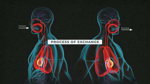 室内空气质量的重要性