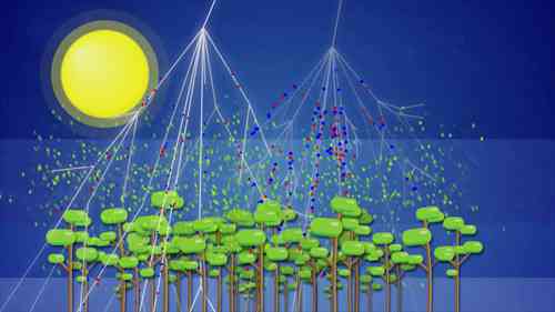 城市雾霾的真相