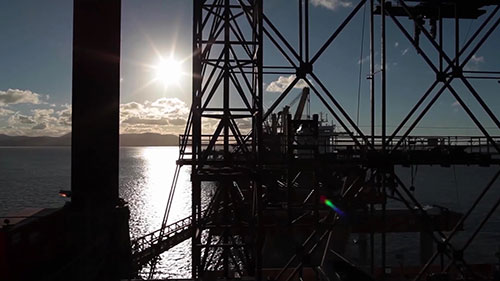 工作场所的健康和领导力