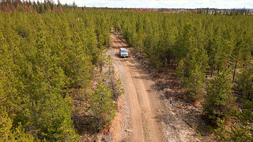 林业工作的安全问题