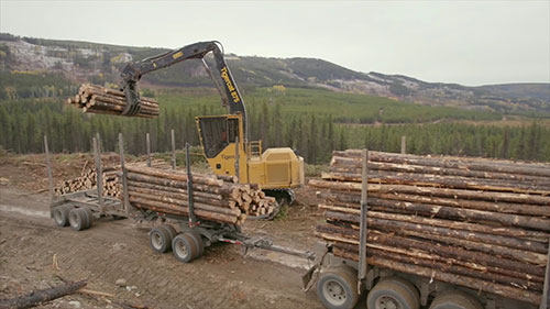 工伤康复解决方案