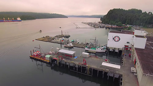 海岸工人的健康安全