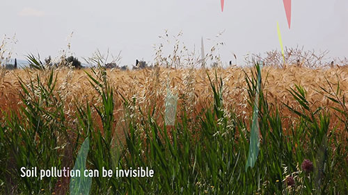了解土壤污染