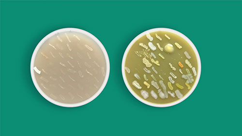 土壤质量和土壤健康