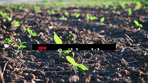 土壤健康的重要性