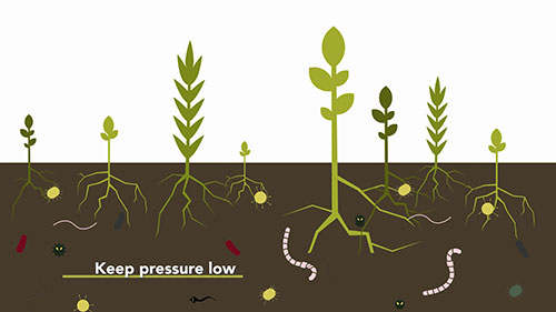 如何形成健康的土壤