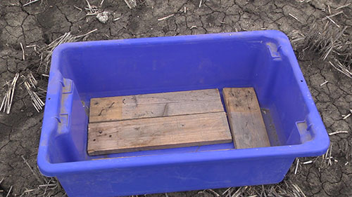 土壤的可视化评估 1