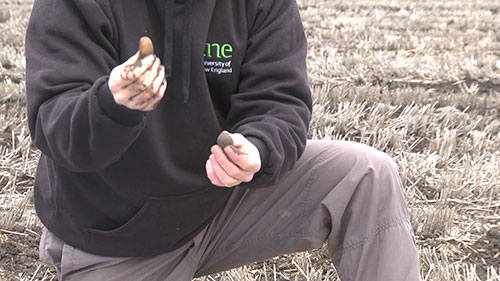 土壤的可视化评估 2