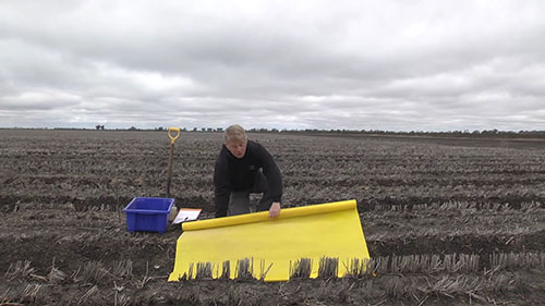 土壤的可视化评估 3