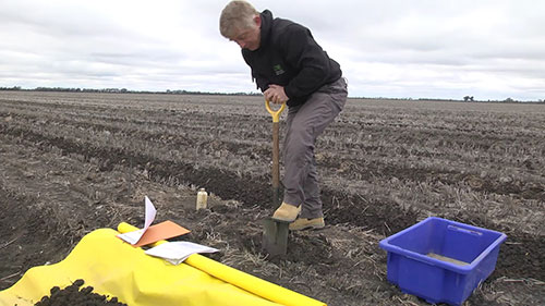 土壤的可视化评估 4