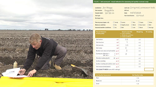 土壤的可视化评估 5