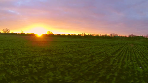 土壤的安全和健康