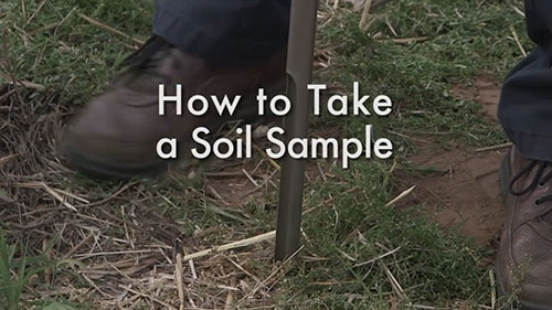如何采集土壤样本