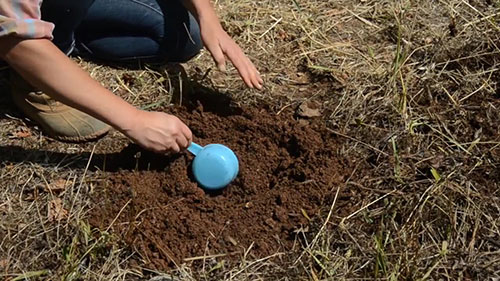 如何收集土壤样本